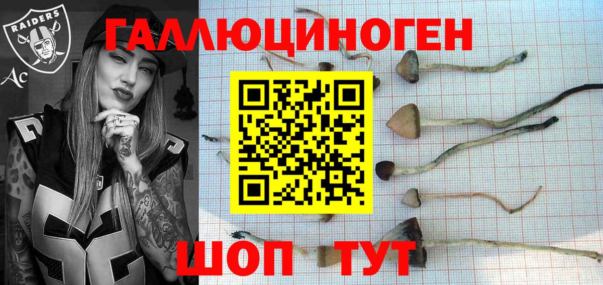 Псилоцибиновые грибы GOLDEN TEACHER  Вход с VPN  Майский 